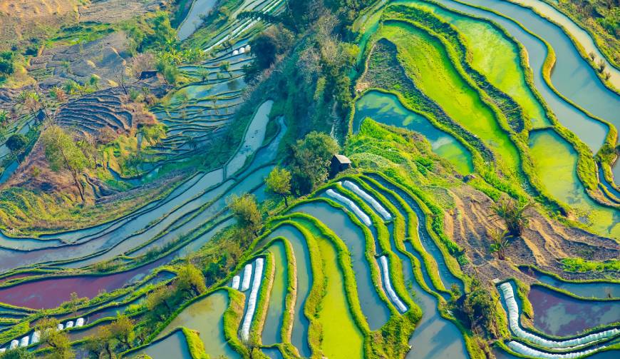 宝妈必备神器：鹤峰县产品视频拍摄轻松育儿好帮手