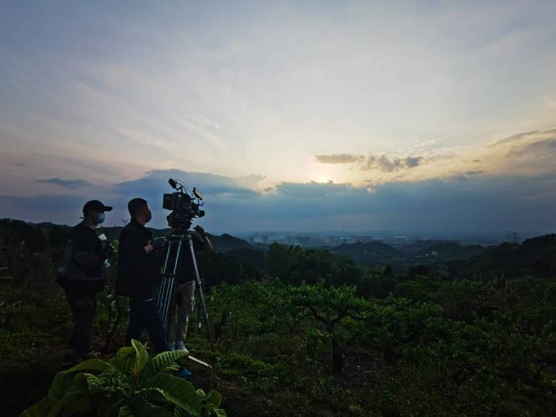 聚焦鹤峰县产品宣传视频拍摄公司，用专业实力铸就品牌传播传奇