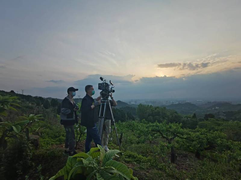 创意破圈！鹤峰县电商产品宣传视频用故事化叙事引爆流量