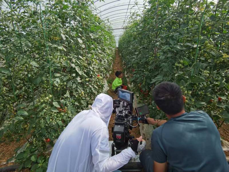 鹤峰县产品宣传视频拍摄公司进阶指南，助力品牌抢占传播高地